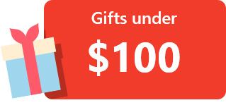 Gift Ideas under $100