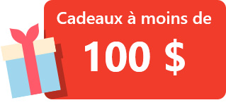 Cadeaux à moins de 100 $