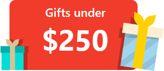 Gift Ideas under $250