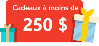 Cadeaux à moins de 250 $