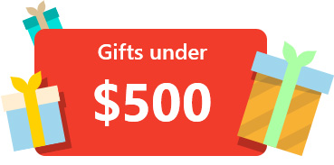 Gift Ideas under $500