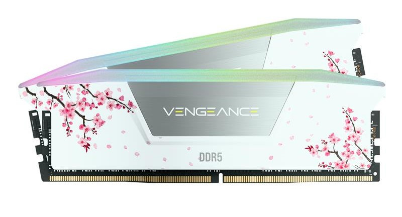 Mémoires pour ordinateur